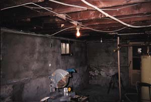 Basement Pic